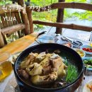 지형이네 능이 닭 백숙 | 원주 계곡식당 산장가든 : 내돈내산 평상 당일 예약 방문 후기 능이닭백숙 황골 맛집