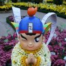 대가야센터-11 이미지