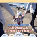 이호로 6길 | 21개월 아기와 제주여행 2일차｜보말죽 맛집부터 이호테우 해변·인생사진 카페까지