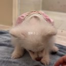 어서멍 이미지