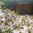 흙집풍경 이미지