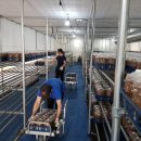 나래농수산 이미지