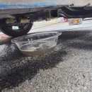 모닝글러브 이미지