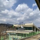조용해서 좋은 &lt;호명산잣나무숲속캠핑장&gt; 호잣캠 백패킹 후기 - 고양이 / 불멍 / 20번 명당 데크