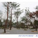 파인트리캠핑장 이미지