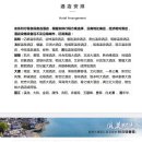 불후국제상담소