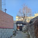 천주교성당 맞은편 이미지