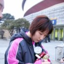 핑크 스파이더 이미지