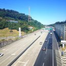 봉추찜닭시흥 | 정신없던 목금토!!! 그 중에서도 금요일에 종이앞치마와 먹은 봉추찜닭 후기!!