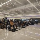 미광스포렉스