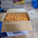 원앙청과 - 광명시 오리로964번길 22 | 원앙청과
