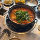 도야미트