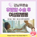 심리 힐링 압화 | 유방암수술후 여성암병동 찾고 계신다면