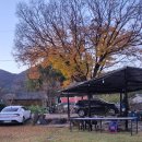 느티나무집민박 이미지