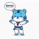 엘리트 태권도 점프 윙스 줄넘기 클럽 네이버블로그