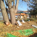 별밭에서 이미지