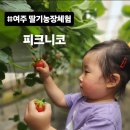 여주-0480 이미지