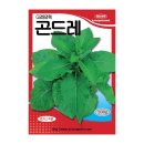 씨앗