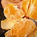 순이네농장 이미지