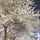 (주)지에스에스 네이버블로그