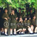 꼬꼬스토리 이미지