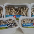 솔이네야채