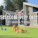 드라이 119 | 가평 애견펜션 추천 강아지 드라이룸, 전용 수건, 식탁까지 준비된 바비애견풀빌라