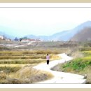 마중가는길 이미지