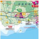 서호동-46 Daum카페