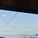 해안길횟집 - 포항시 남구 호미로3192번길 21-17 | [맛집기록]_경북 포항여행 자연산 물회 맛집 해안길횟집