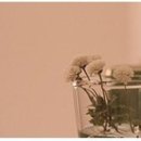 브라운 아이즈 카카오 검색결과