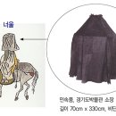 너울