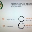 계촌초등학교 이미지