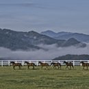 솔밭목장 이미지