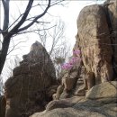 뉴전북산우회, 소무의도(小舞衣島) 트래킹과 호룡곡산(虎龍哭山,244m) 산행*2016.4.5.화* 이미지