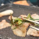 도니조아 이미지