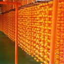 토송농장 이미지