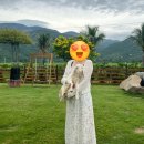 2025 해돋이 행사 | 나트랑 밤비행기, 여행 필수템 &amp; 베자나 해돋이 투어 자세한 후기☀️