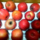 병규농장 이미지