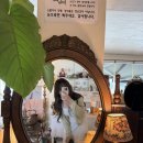 화이트 하우스 | 충남 예산 카페 추천 | 투어스(TWS) 신유 다녀간 화이트하우스 내돈내산 후기