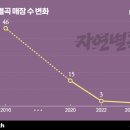 이랜드이츠피자몰뉴코아 이미지