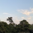 쇠소깍 천일펜션 이미지