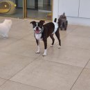 우다다 유치원 이미지