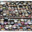 명지바람 이미지