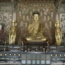 장흥사유치원 이미지