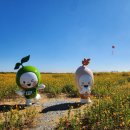 단야 이미지