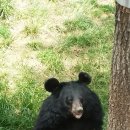 삼정동물병원 이미지