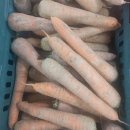 H1299 | 당근 이야기