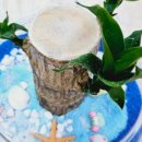 시립팽성남산어린이집 이미지