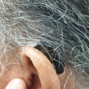 베테랑보청기 | 노원구 상계동 베테랑 보청기 다녀온 후기